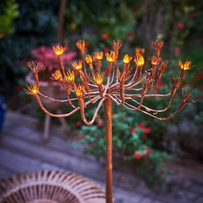 Wild Fennel - NEST & FLOWERS