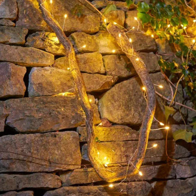 x3 Solar Cluster String Lights - NEST & FLOWERS