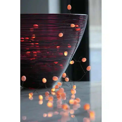 x6 Teardrop String Lights - NEST & FLOWERS